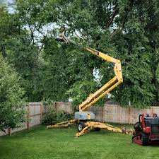 Why Choose Our Tree Removal Services in New Buffalo, MI?