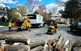 Reliable New Buffalo, MI  Tree Services Solutions